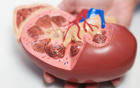 Ϊʲôÿ��Ⱥܶ�ˮ����������ʯ �����ᾧ��������ʯ��ô��